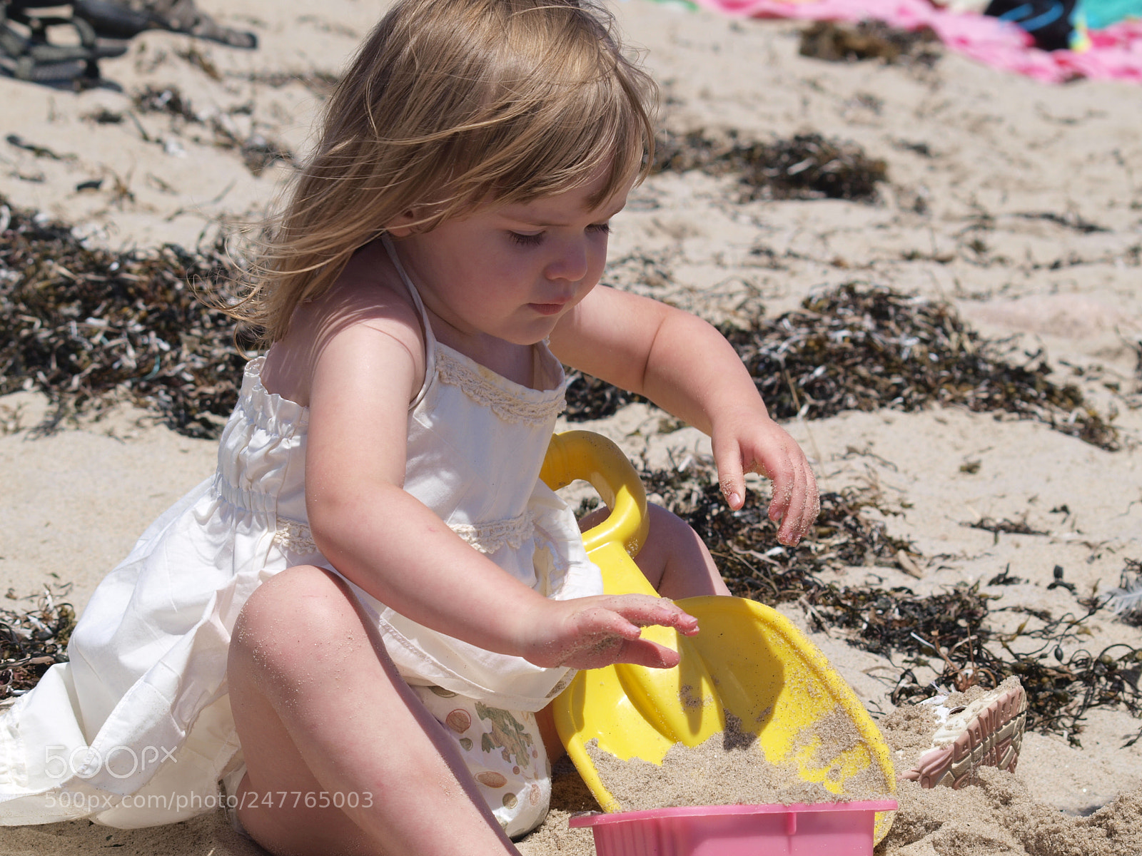 Olympus E-520 (EVOLT E-520) sample photo. This is nova scotia photography