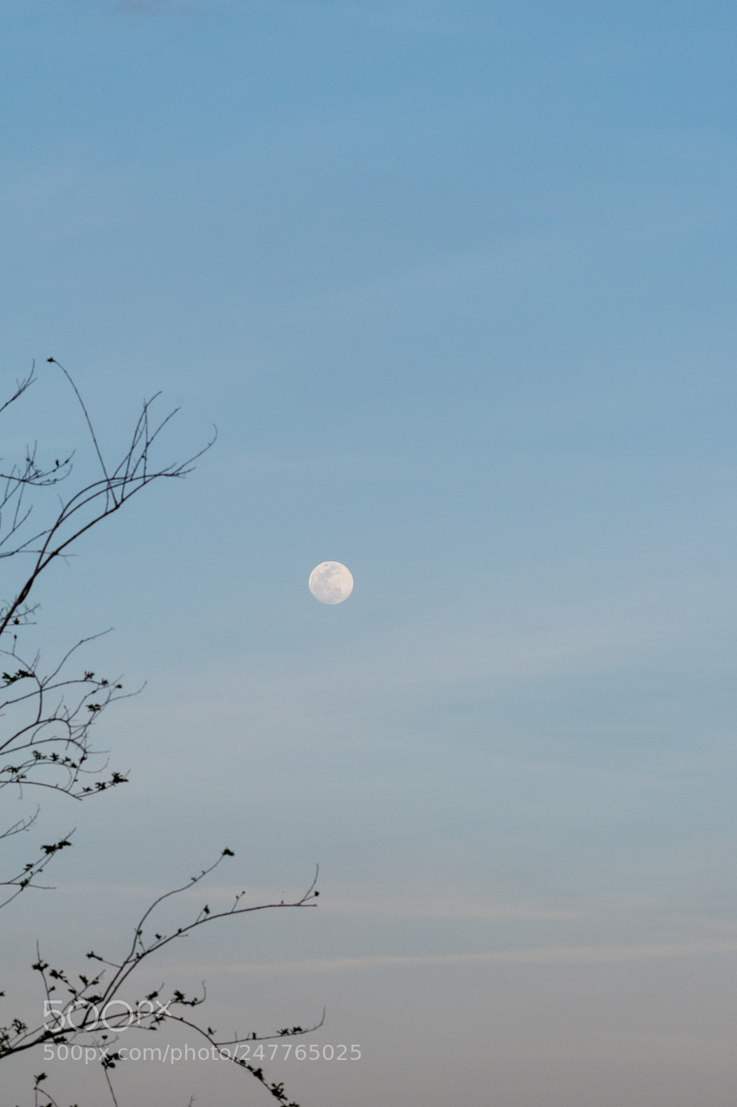 Nikon D5500 sample photo. Moon rising photography