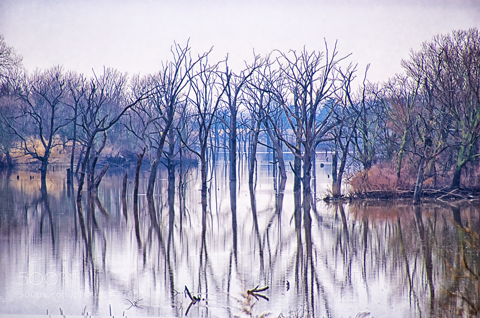 Nikon D200 sample photo. About howard nemerov photography