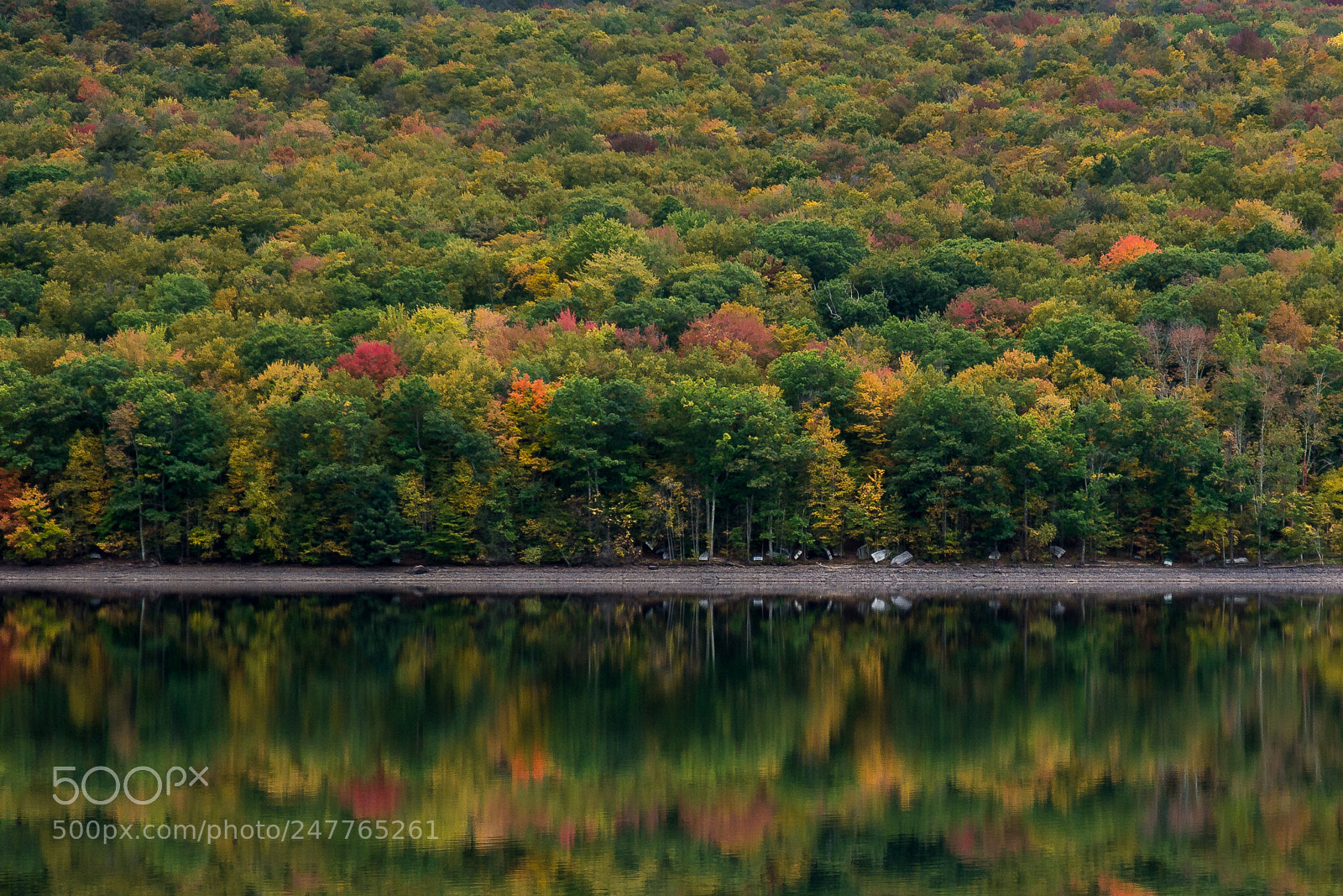 Nikon D7100 sample photo. Autumn invitation photography