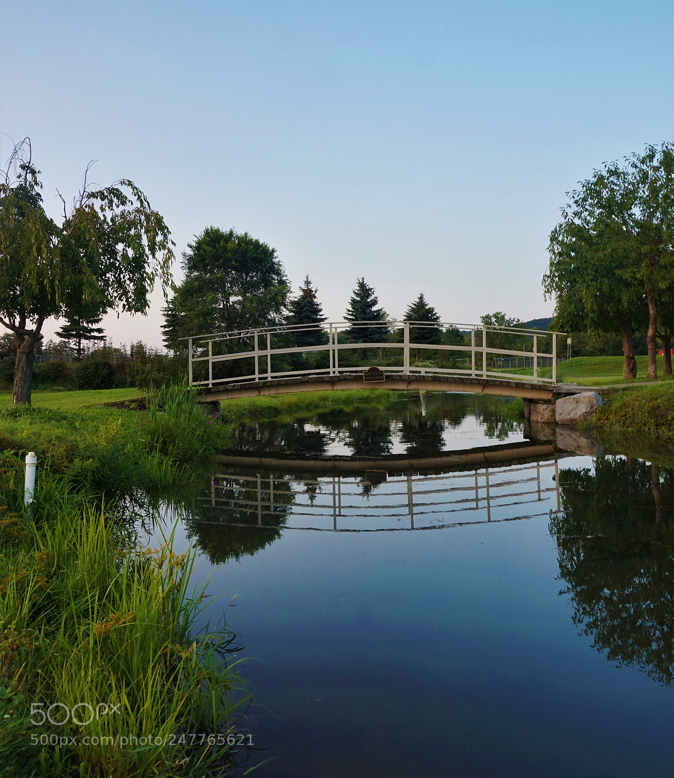Sony Alpha a5000 (ILCE 5000) sample photo. Perfect symmetry photography