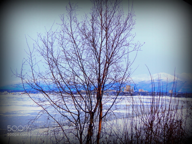 Nikon Coolpix L830 sample photo. Anchorage in the distance photography