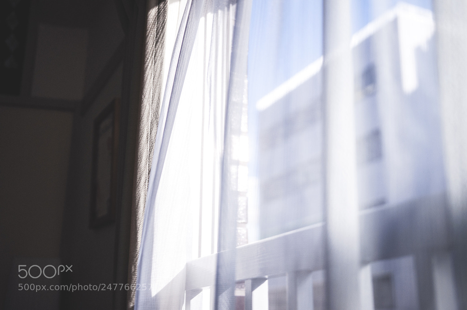 Nikon D5000 sample photo. Untitled photography