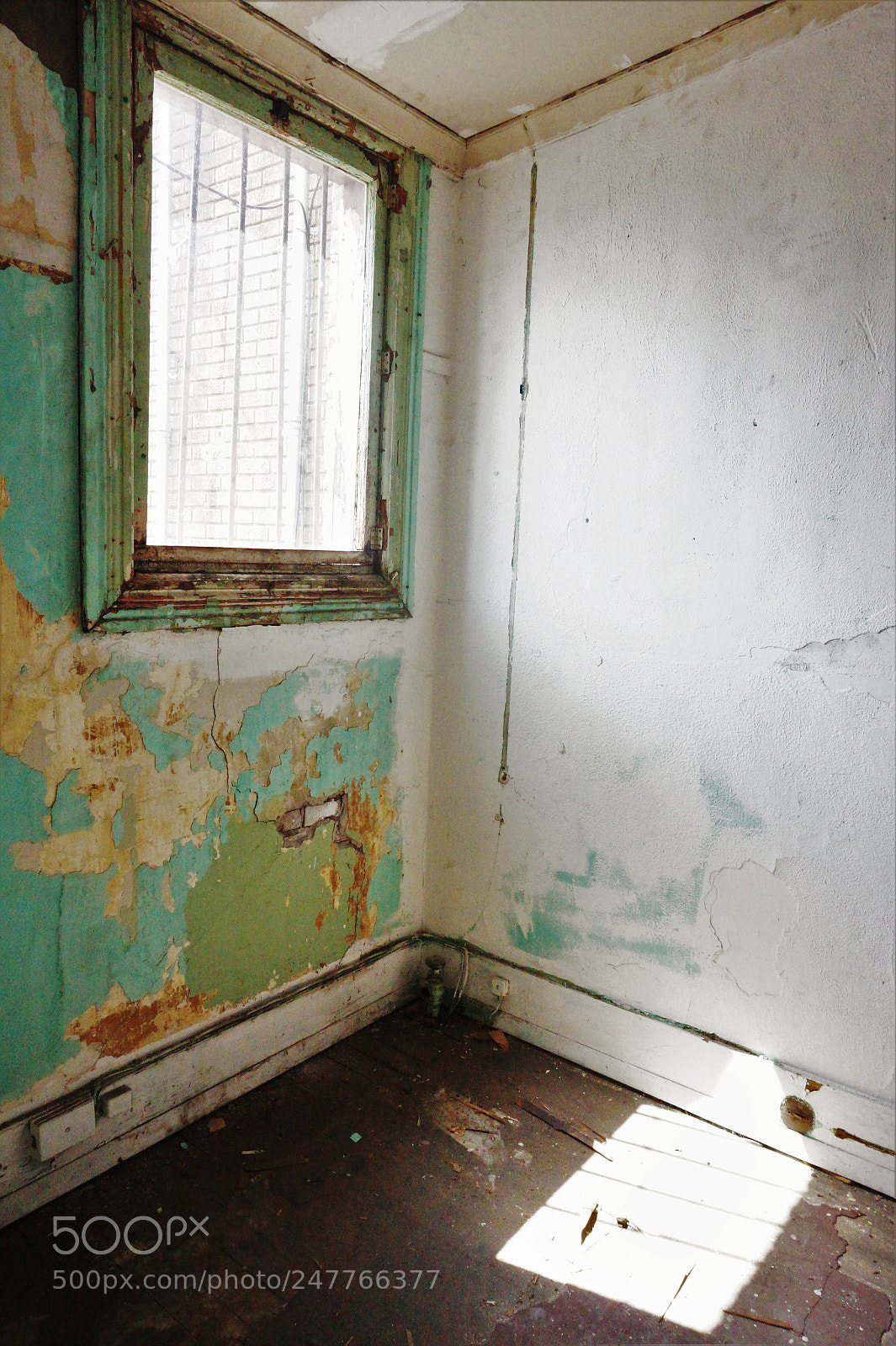 Sony Alpha a5000 (ILCE 5000) sample photo. If these walls could photography