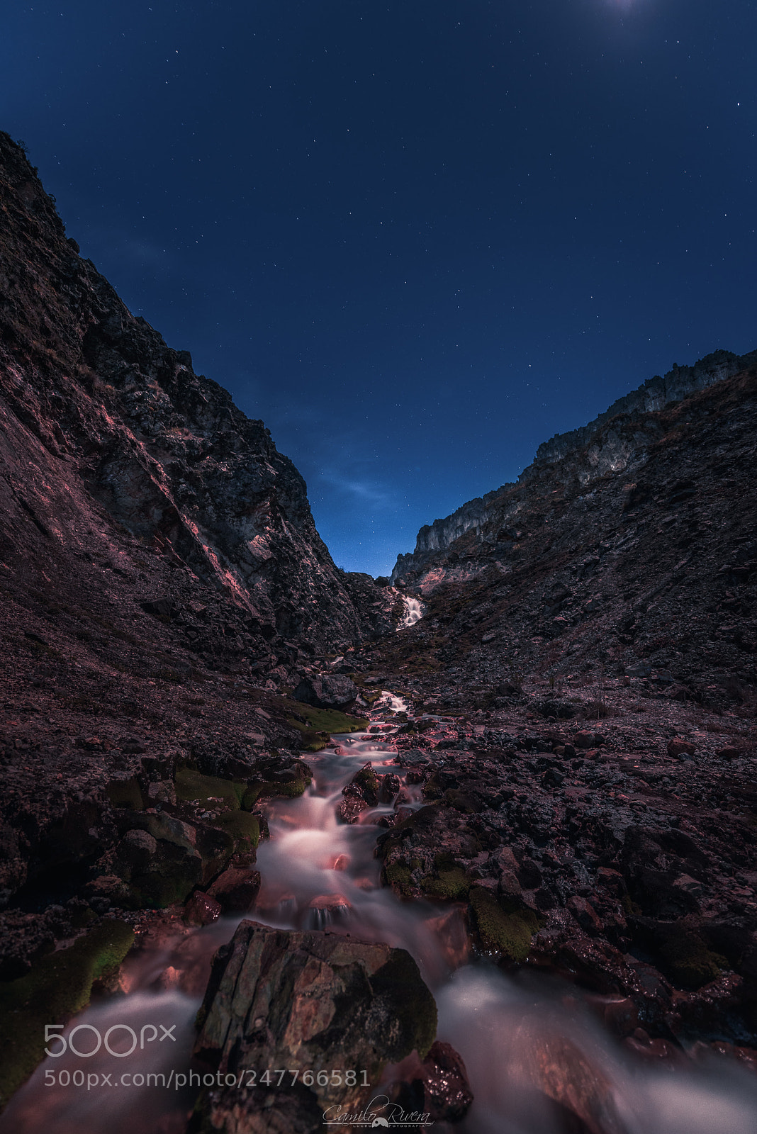 Nikon D810 sample photo. The river sulphured under photography