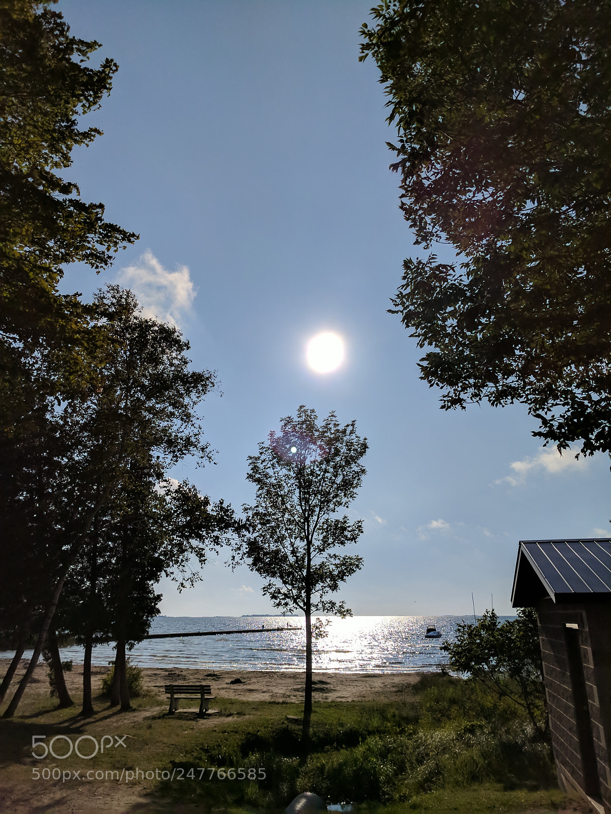 Google Pixel XL sample photo. Untitled photography