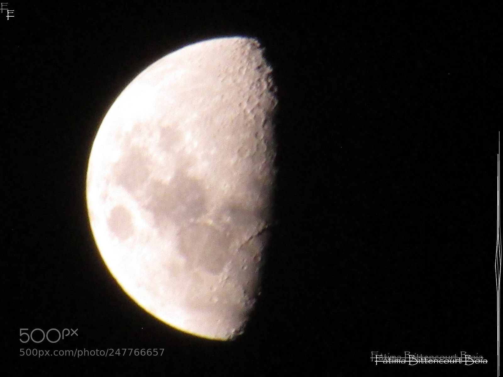 Canon PowerShot SX500 IS sample photo. 184.jpg photography