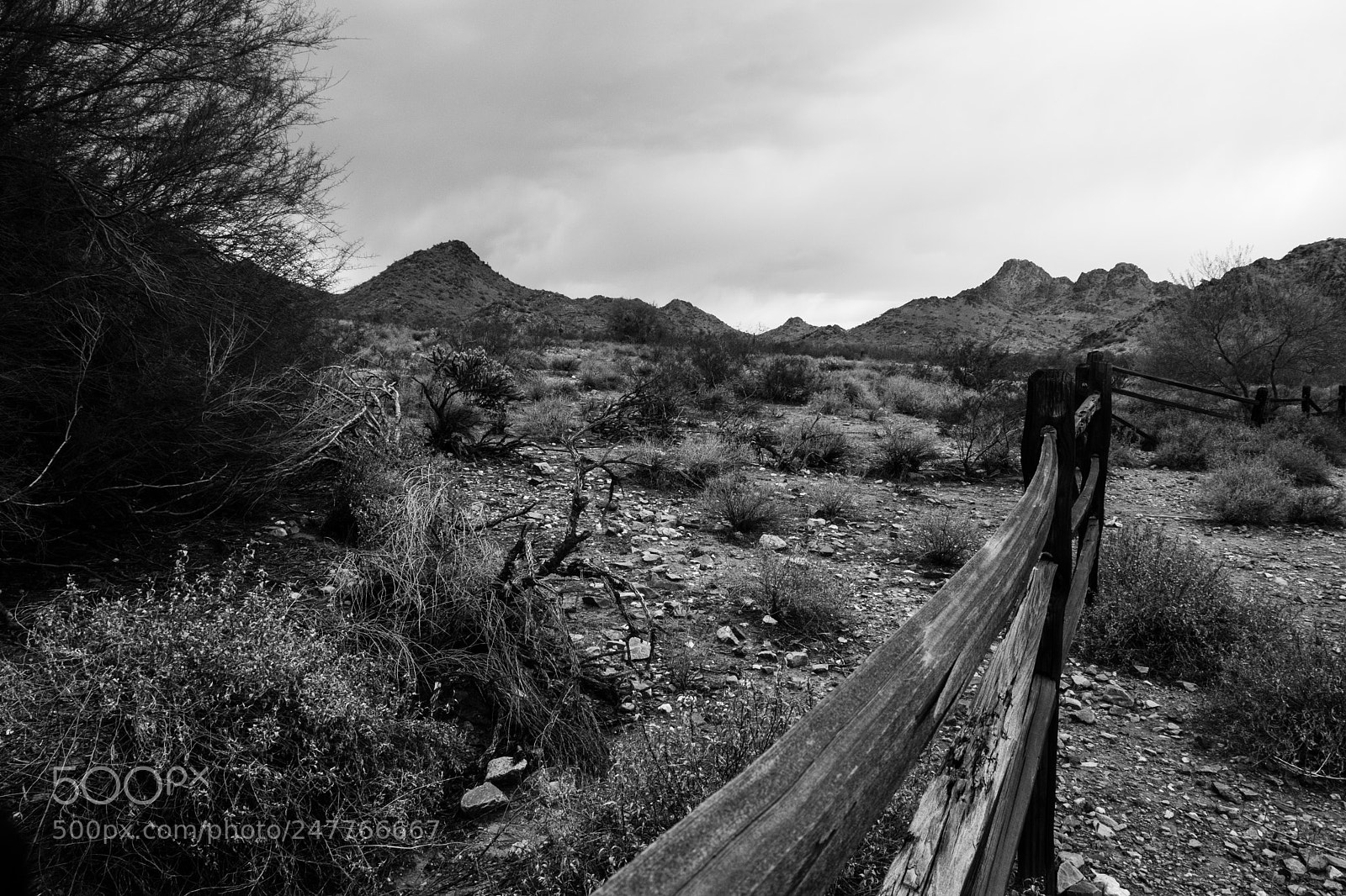 Fujifilm X-E3 sample photo. Phoenix mountain preserve photography