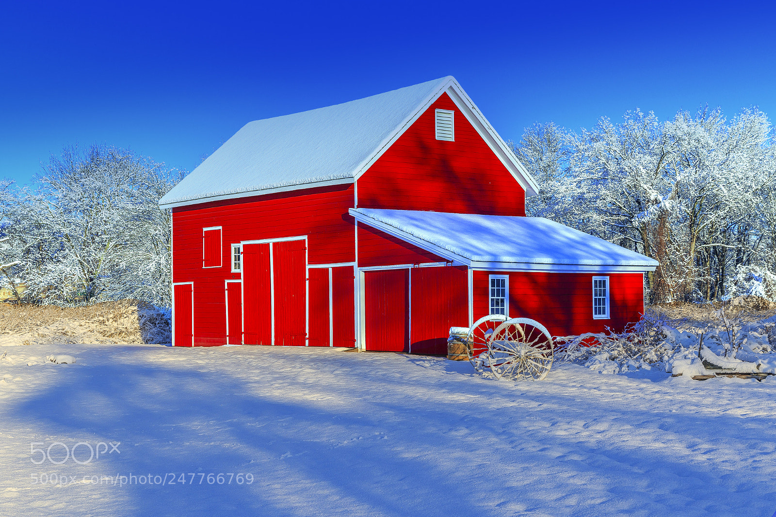 Canon EOS 7D Mark II sample photo. Red white & blue photography