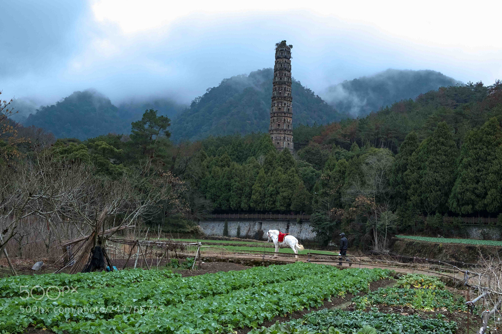 Fujifilm X-T20 sample photo. White horse and tower photography