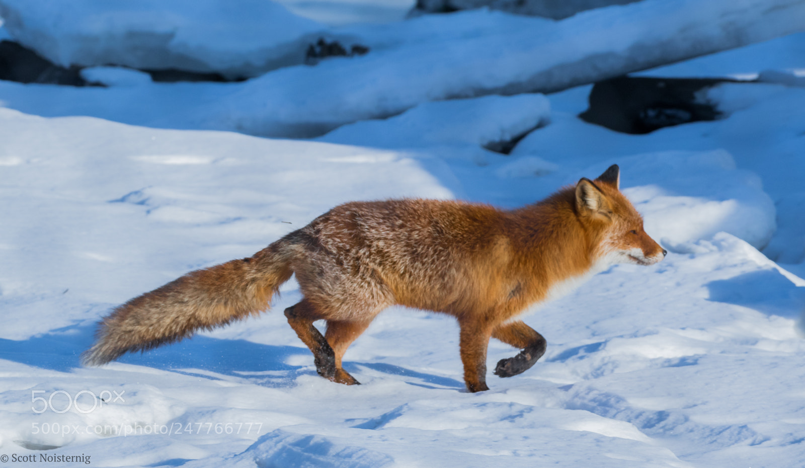 Canon EOS 7D Mark II sample photo. Last time i was photography