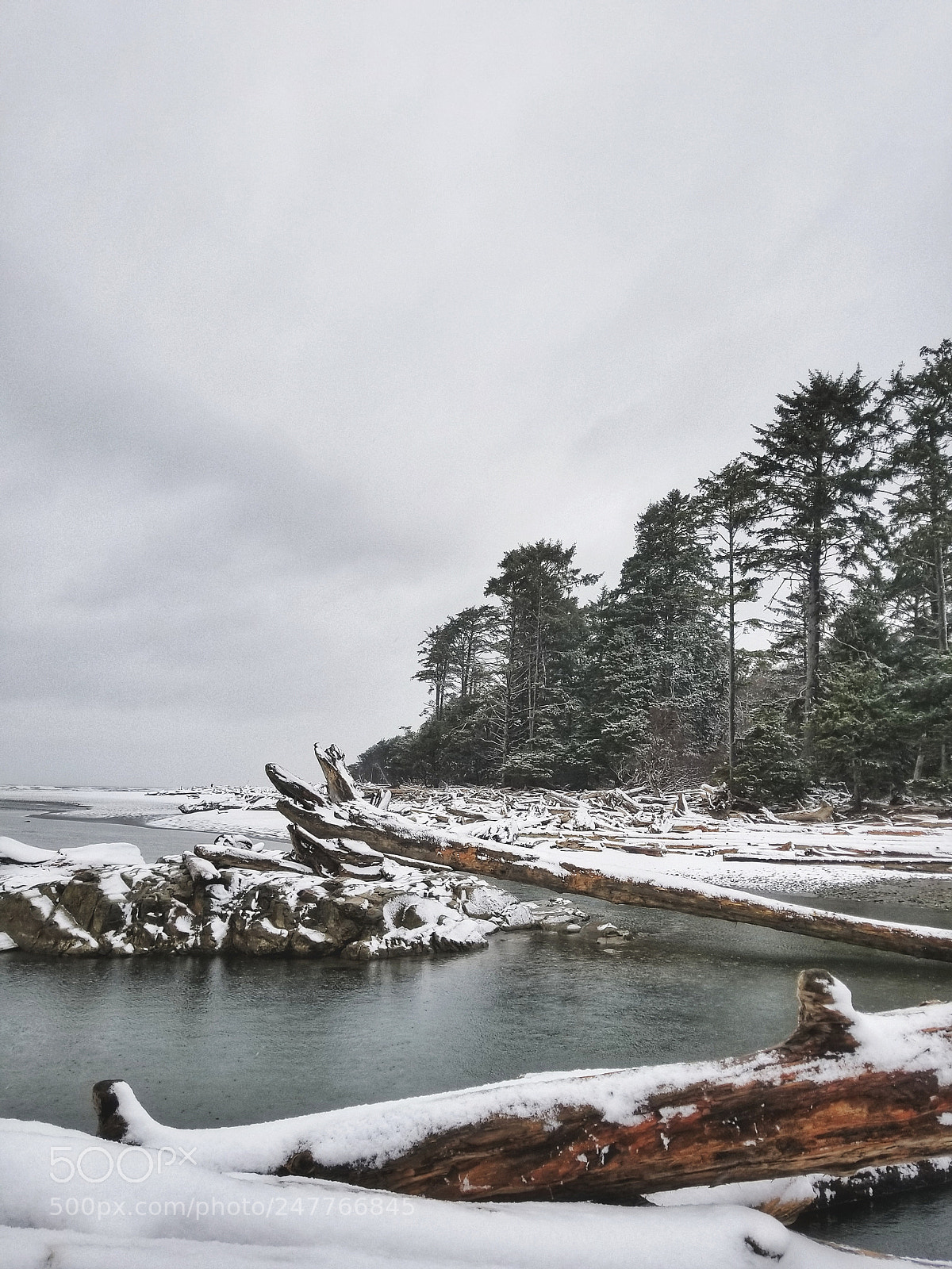 Samsung Galaxy S8 sample photo. Pacific north-west photography