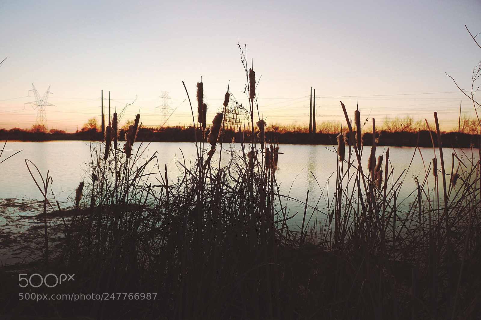 Canon EOS 80D sample photo. Untitled photography
