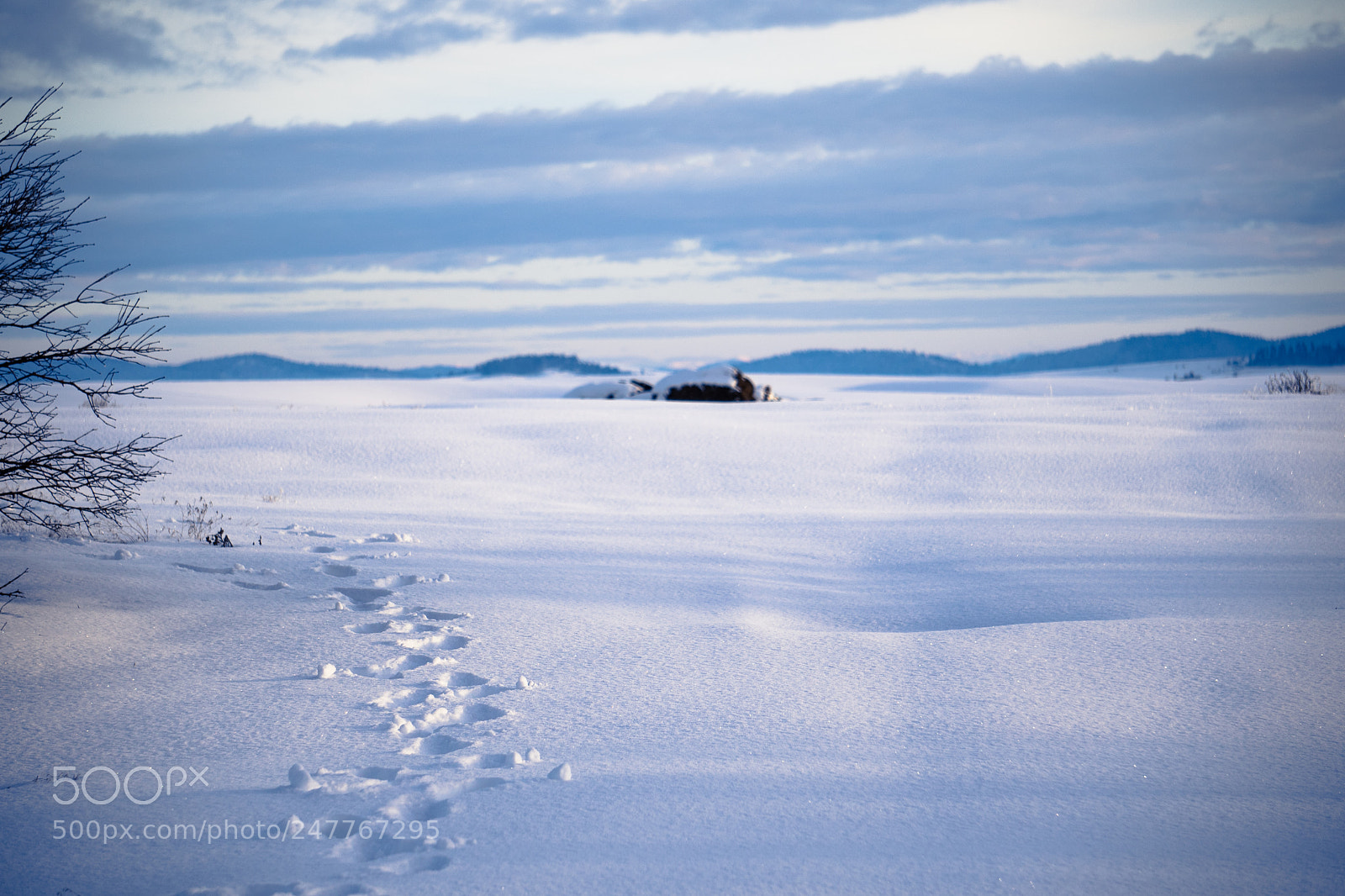 Sony a7 II sample photo. Is winter over yet? photography