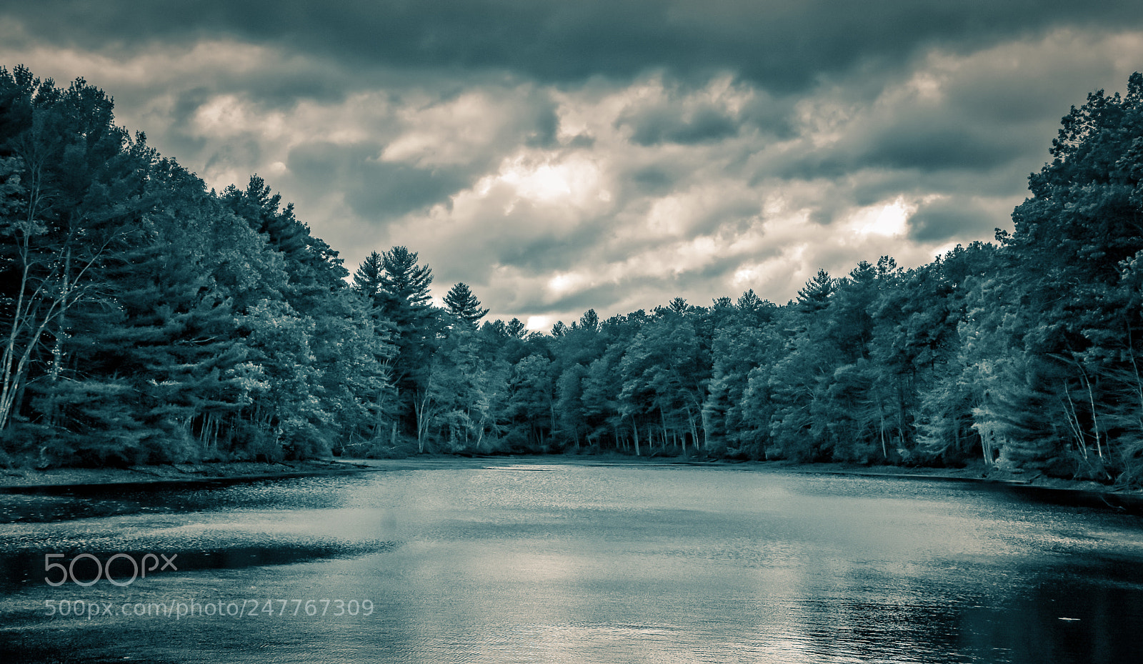 Nikon D7200 sample photo. The storm photography