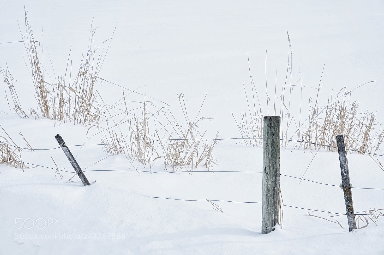 Fujifilm X-E1 sample photo. Winter field photography