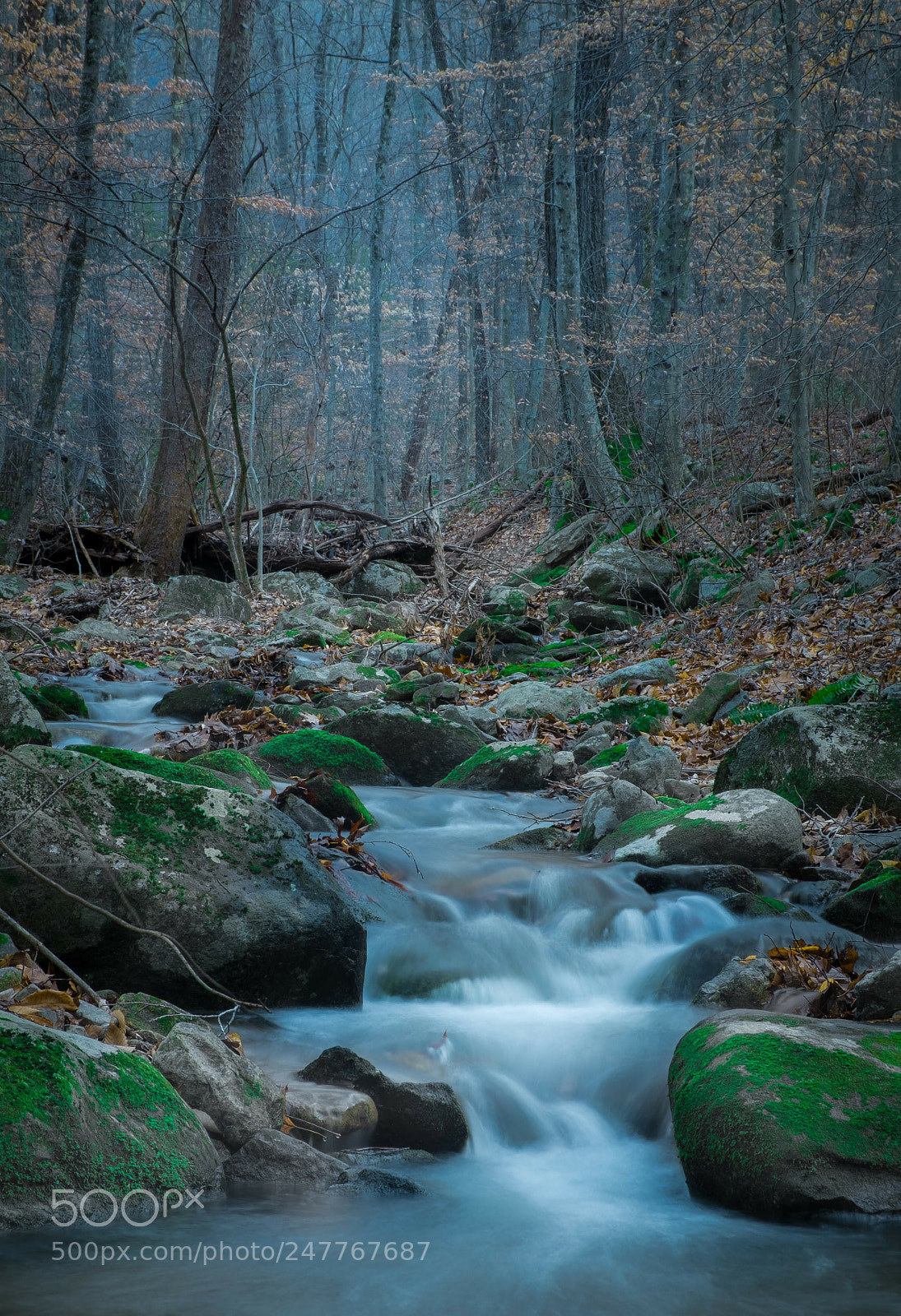Fujifilm X-T20 sample photo. Stream in the woods photography
