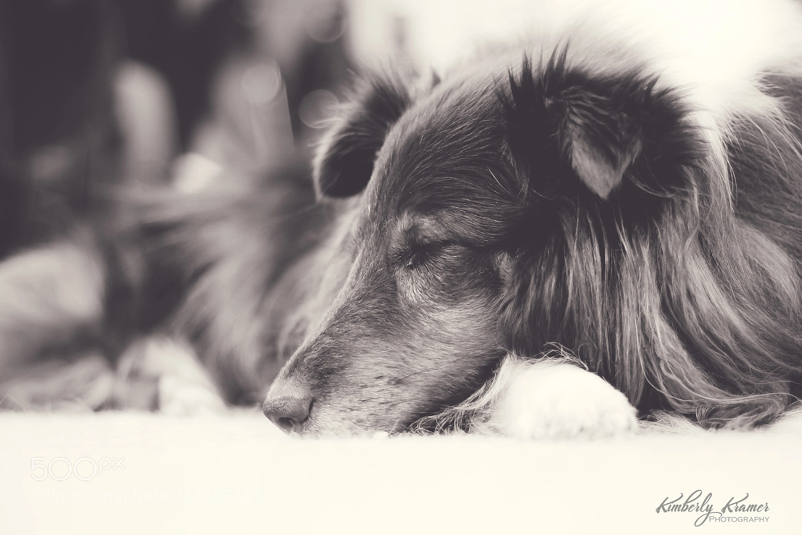 Canon EOS 600D (Rebel EOS T3i / EOS Kiss X5) sample photo. Sleeping photography