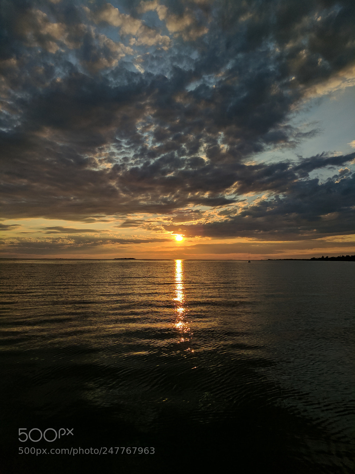 Google Pixel XL sample photo. Untitled photography