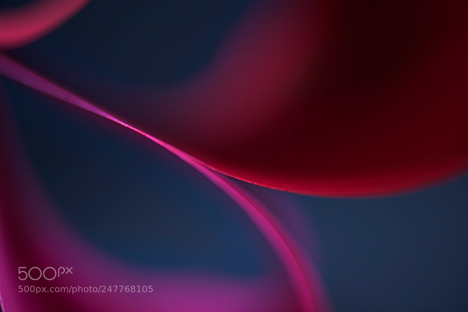 Nikon D810 sample photo. Color photography