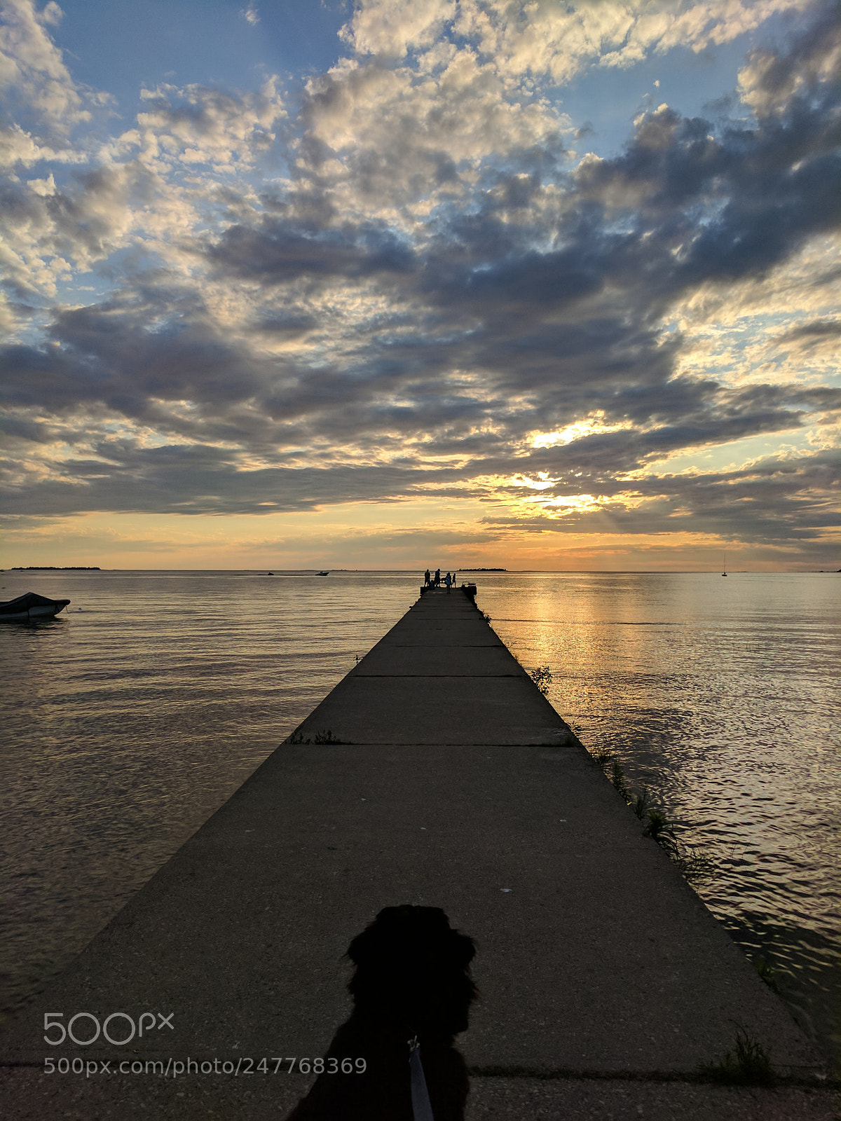 Google Pixel XL sample photo. Untitled photography