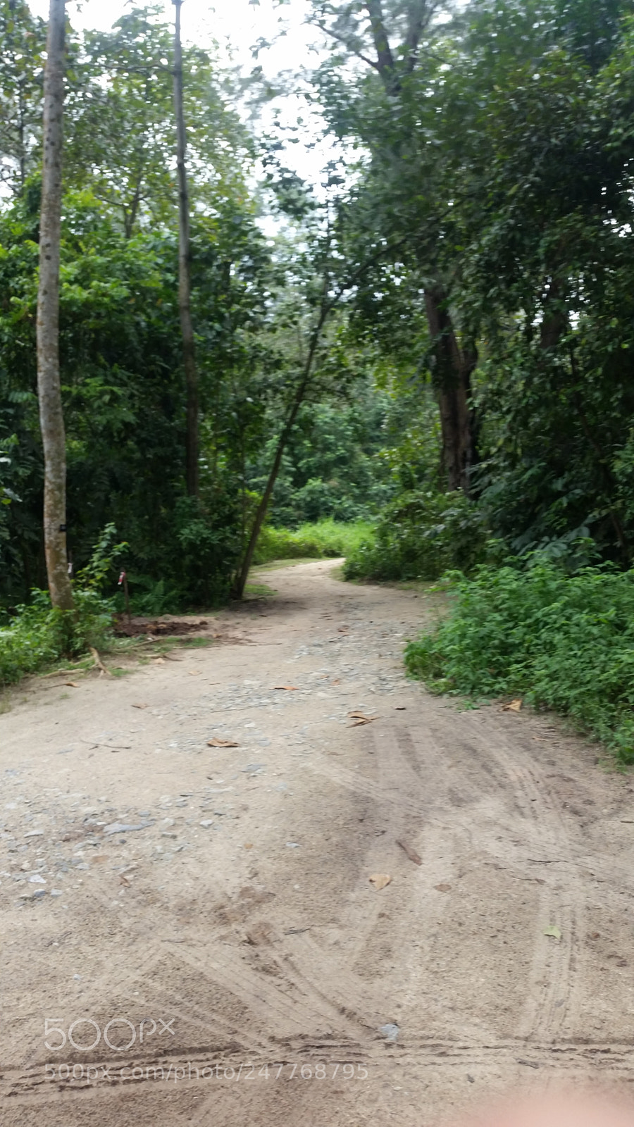 Samsung Galaxy S5 sample photo. Untitled photography