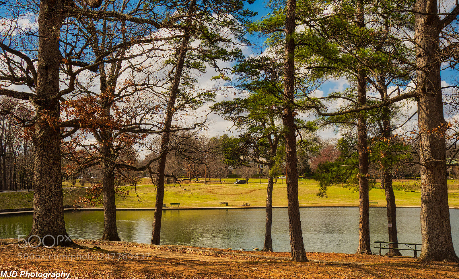 Sony Cyber-shot DSC-RX100 sample photo. Just a park scene photography