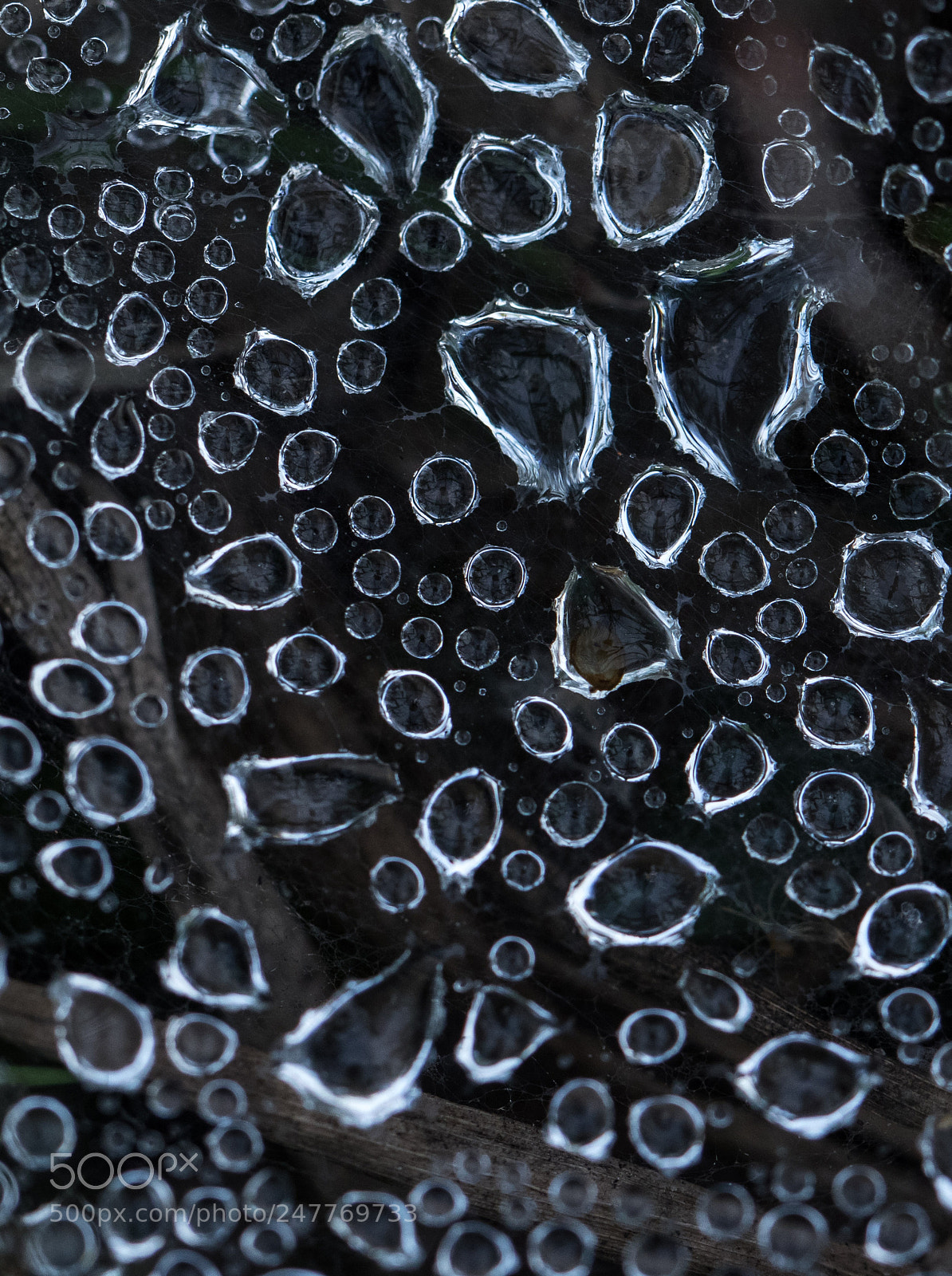Canon EOS 7D Mark II sample photo. Crystal rain photography