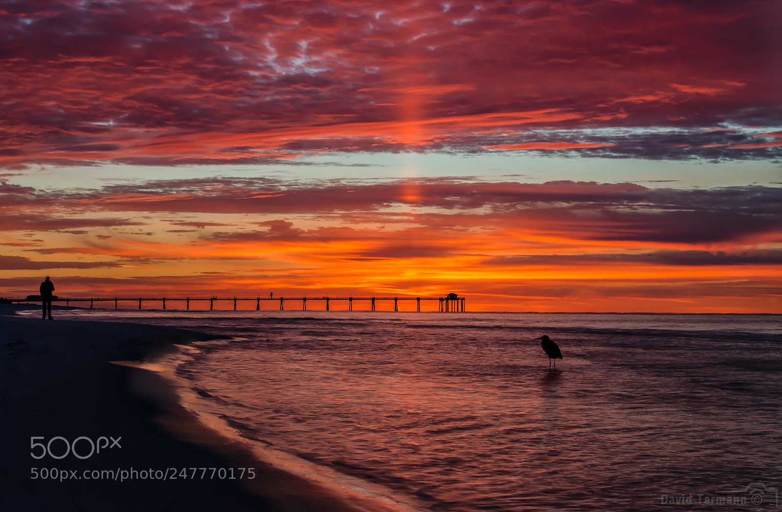 Nikon D800 sample photo. Gulf coast sunrise photography