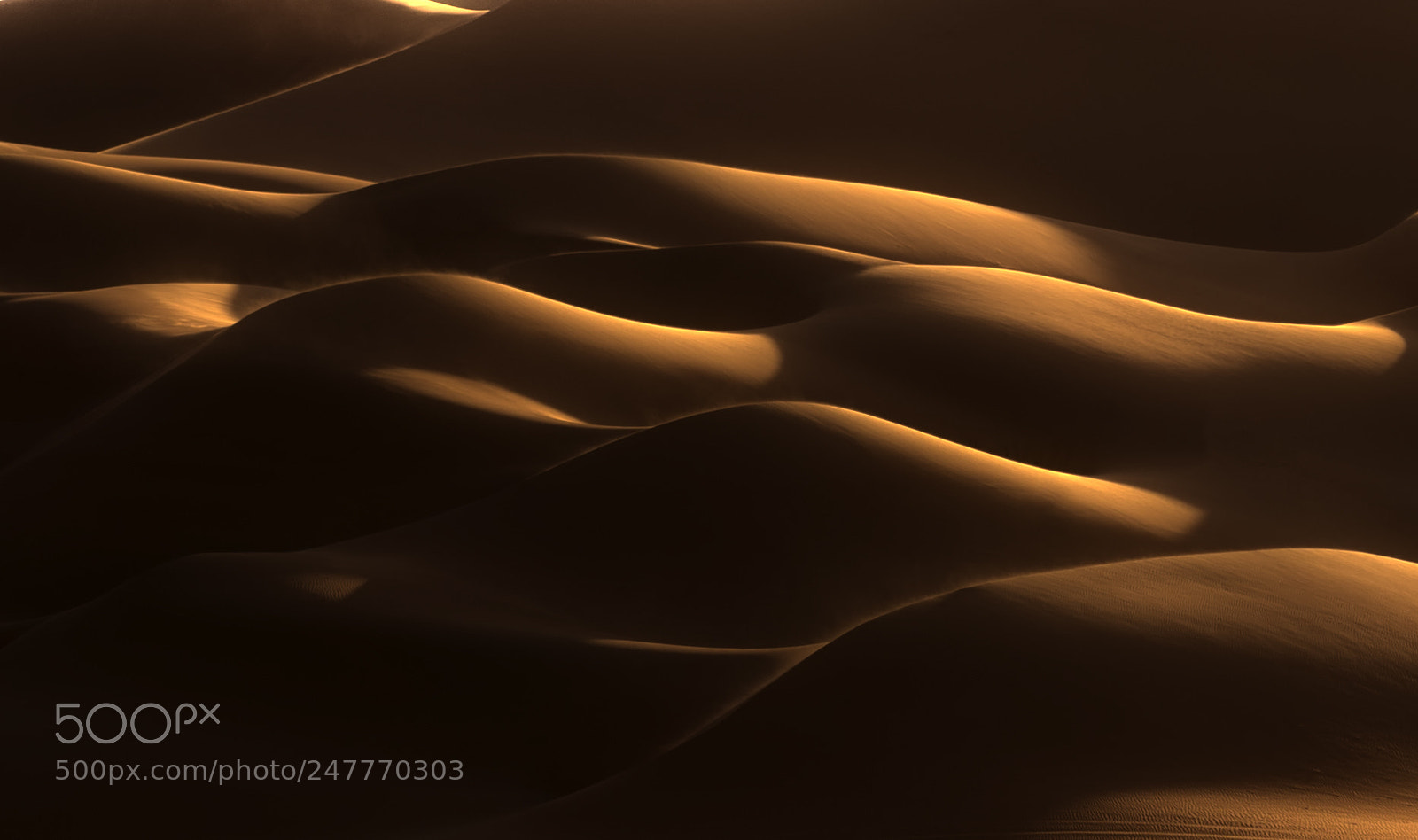 Canon EOS-1D X Mark II sample photo. Liwa dunes photography