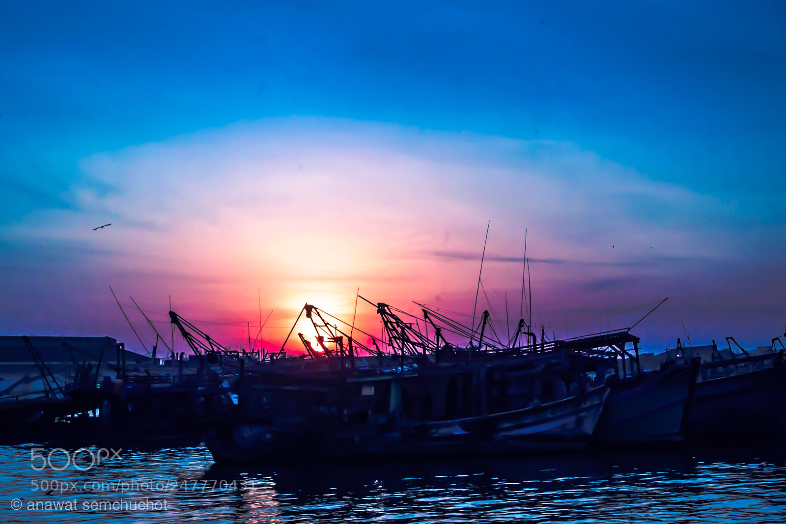 Nikon D3100 sample photo. Untitled photography