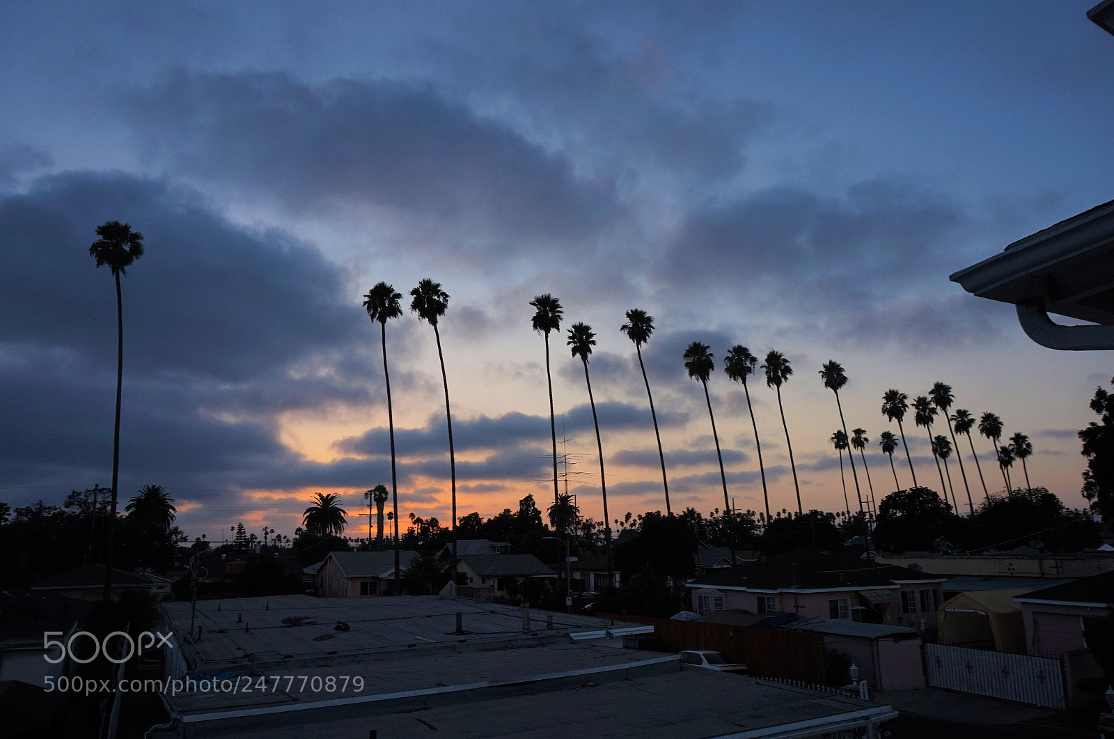 Sony Alpha a5000 (ILCE 5000) sample photo. California living photography