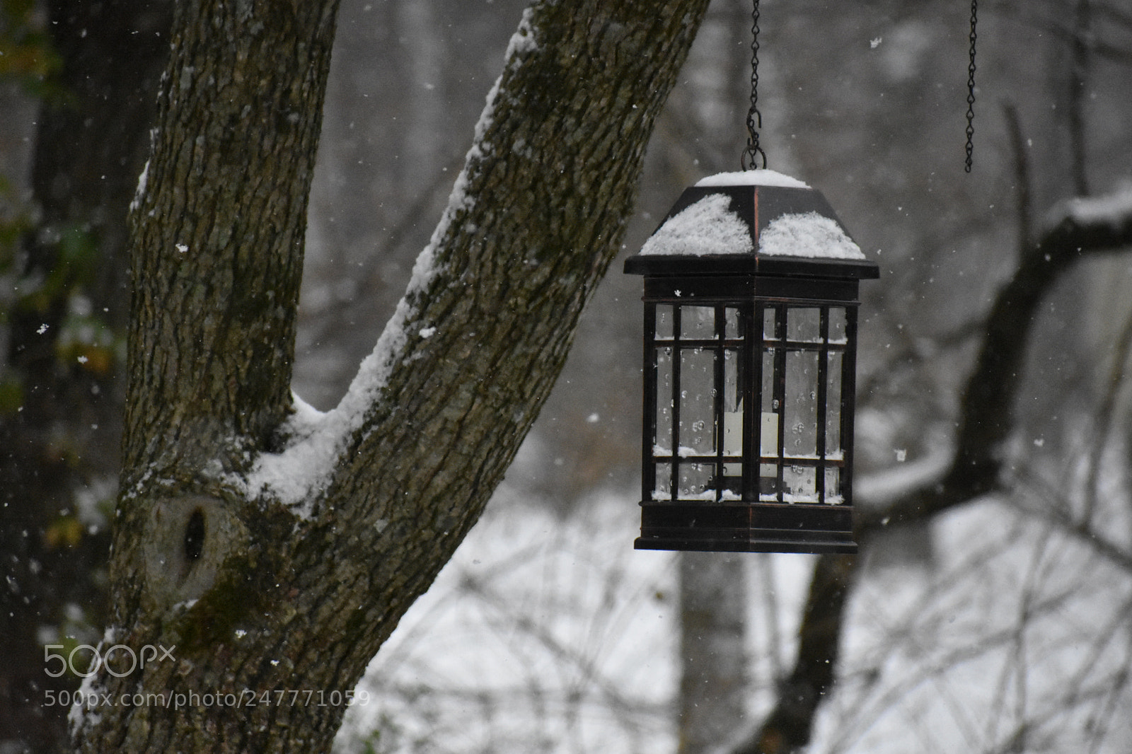 Nikon D3400 sample photo. Untitled photography