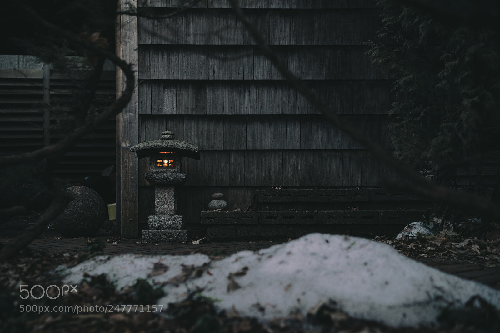 Nikon D610 sample photo. Light photography