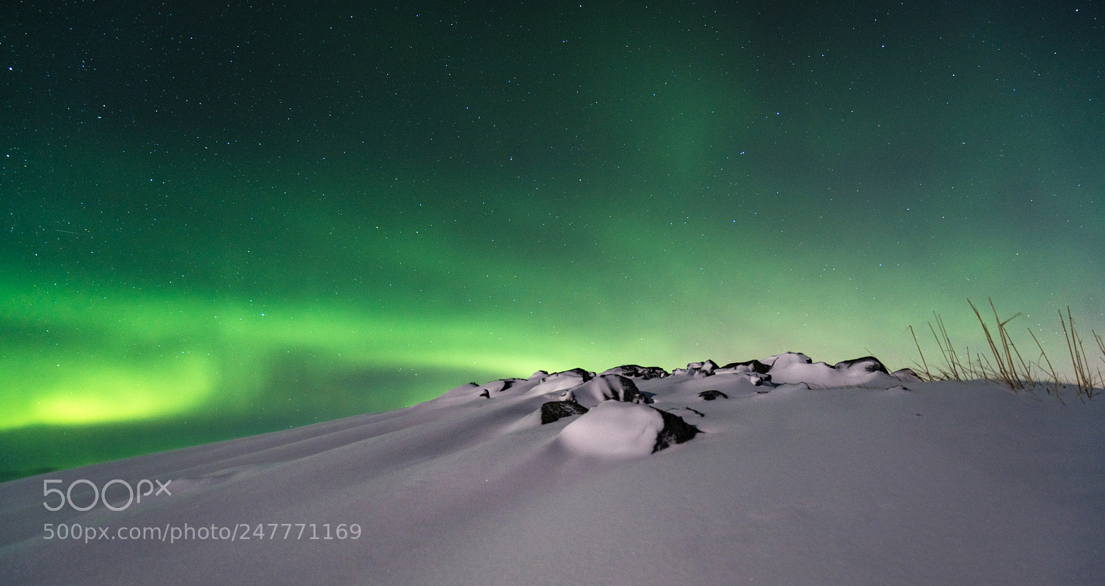 Sony a7R II sample photo. Northern light photography