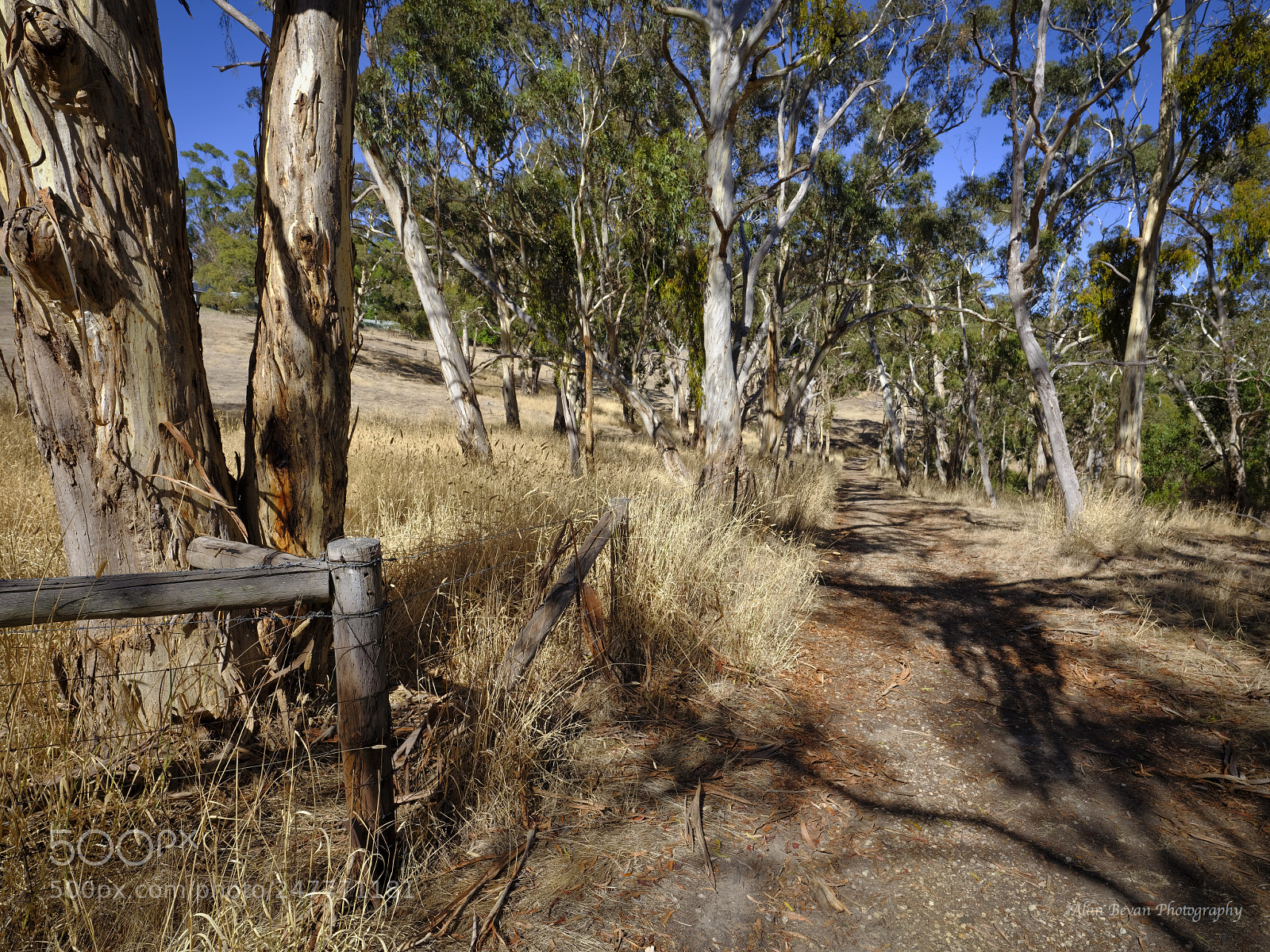 Fujifilm GFX 50S sample photo. Country road photography