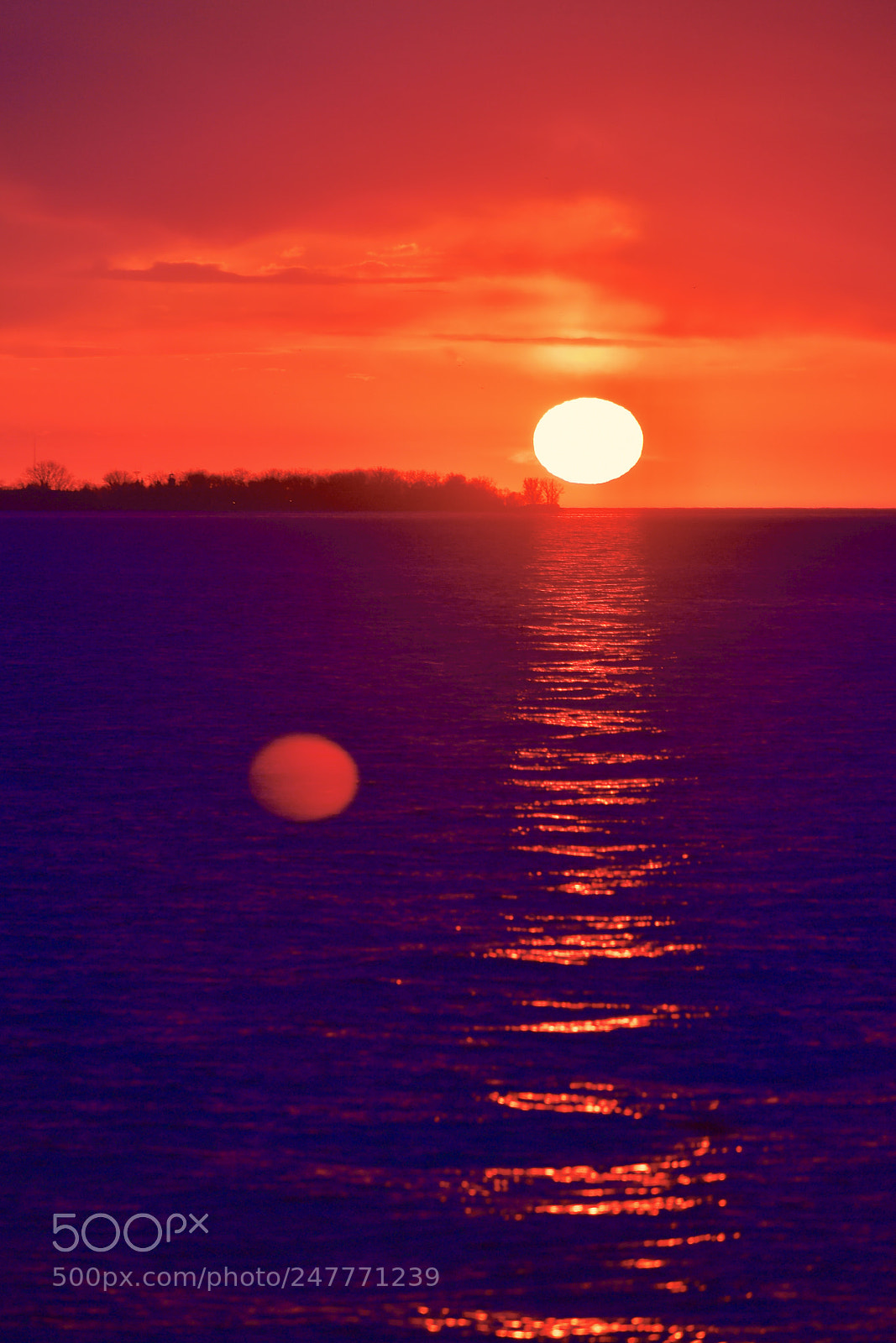 Nikon D5 sample photo. Twin sun ? photography