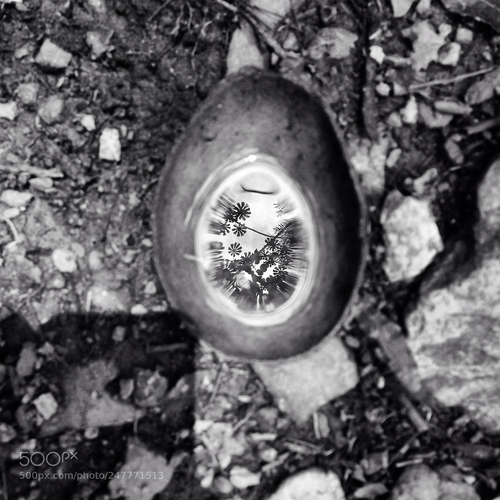 Apple iPhone 5 sample photo. Untitled photography