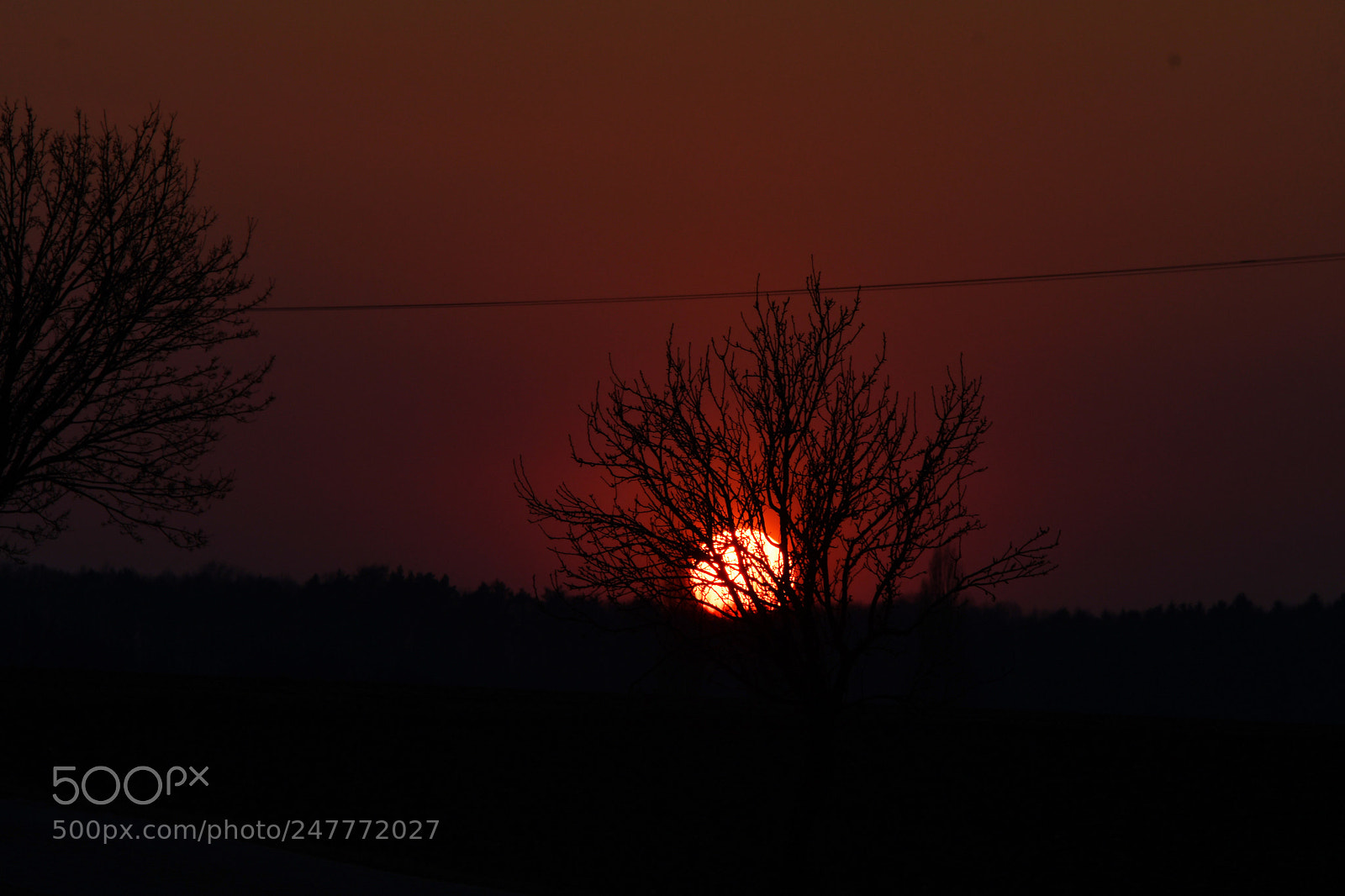 Nikon D500 sample photo. ...dreaming... photography