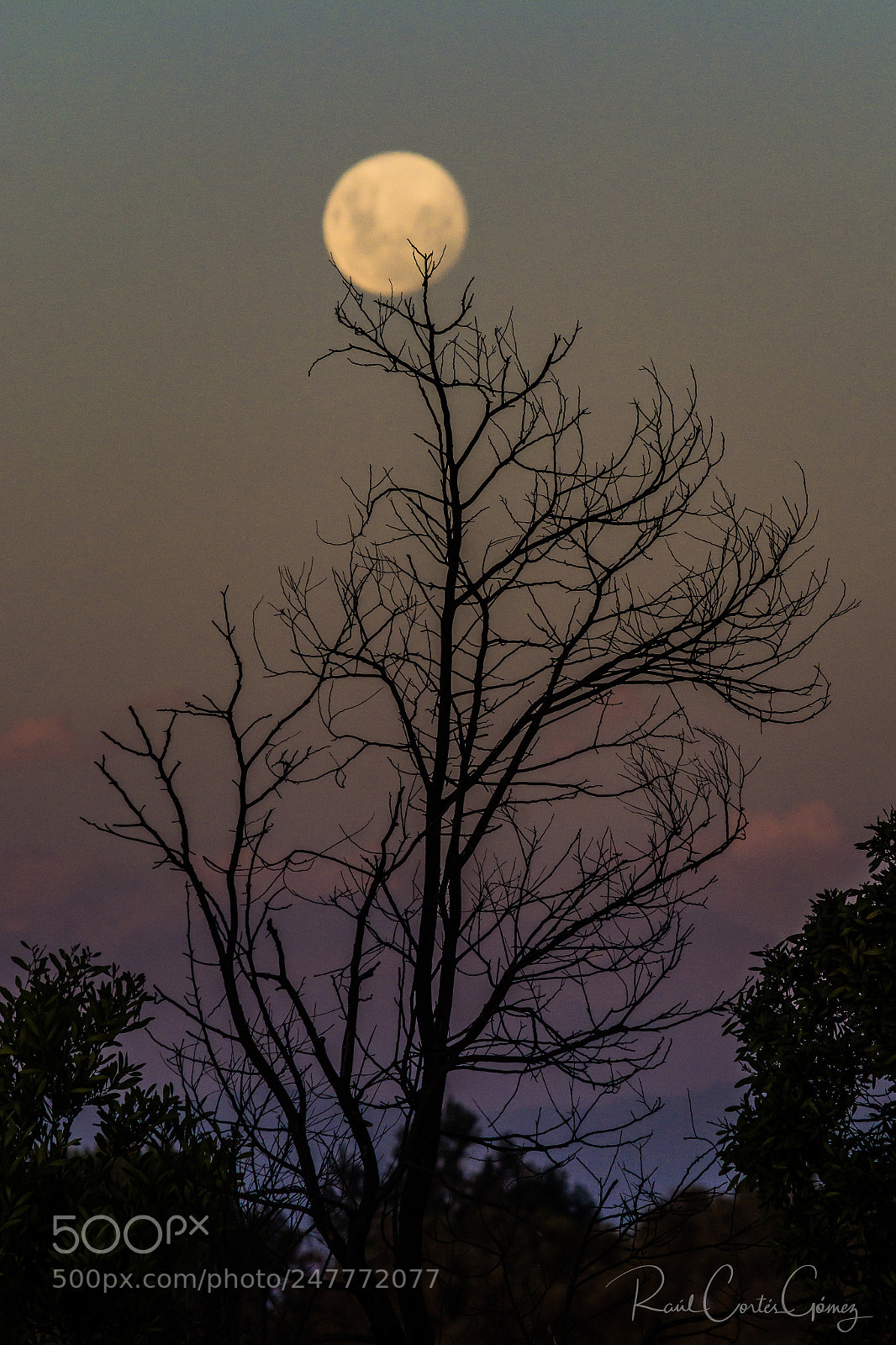 Nikon D7100 sample photo. Waxing gibbous moon photography