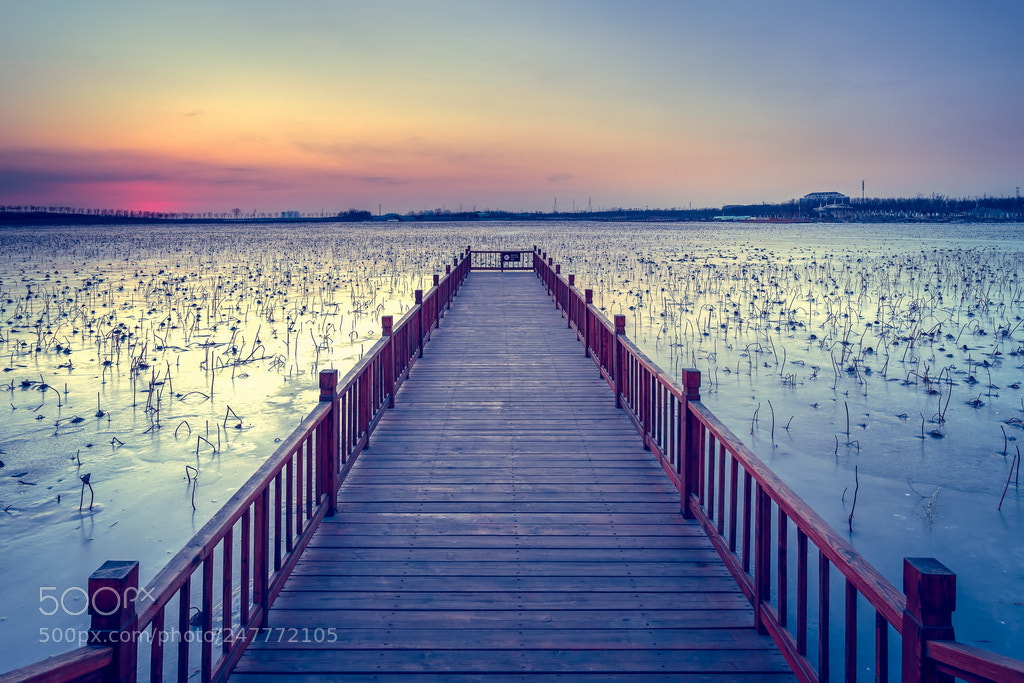 Canon EOS 6D Mark II sample photo. Towards sunshine photography