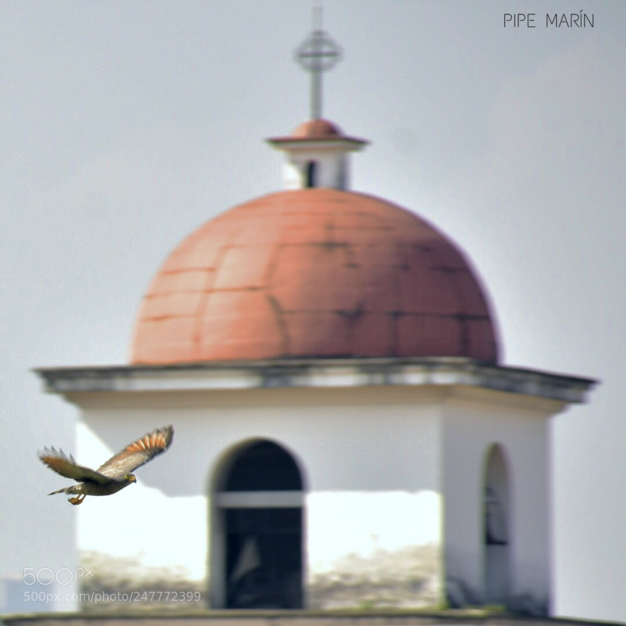 Nikon D7200 sample photo. “around the dome” photography