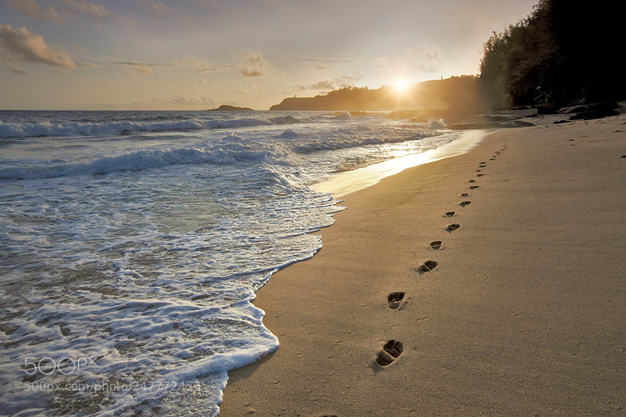 Canon EOS-1Ds Mark III sample photo. Sunrise at secret beach photography