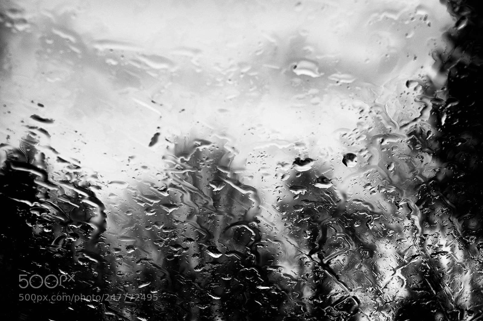 Fujifilm X-T10 sample photo. Another rainy day photography