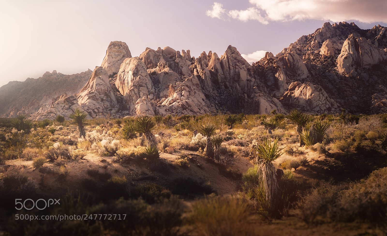 Canon EOS 7D Mark II sample photo. Granite peak photography