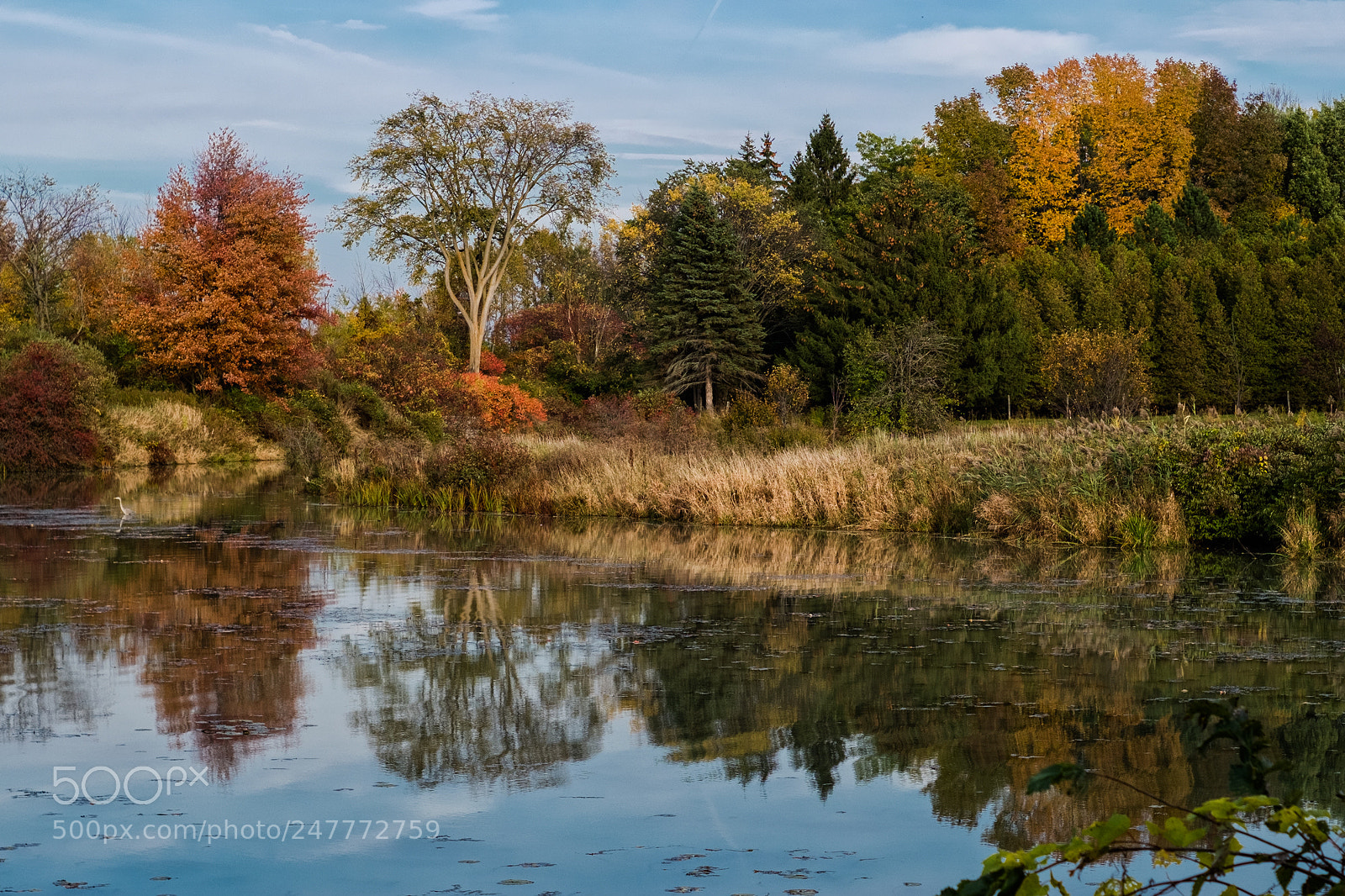 Fujifilm X-Pro1 sample photo. Fall 2017 photography