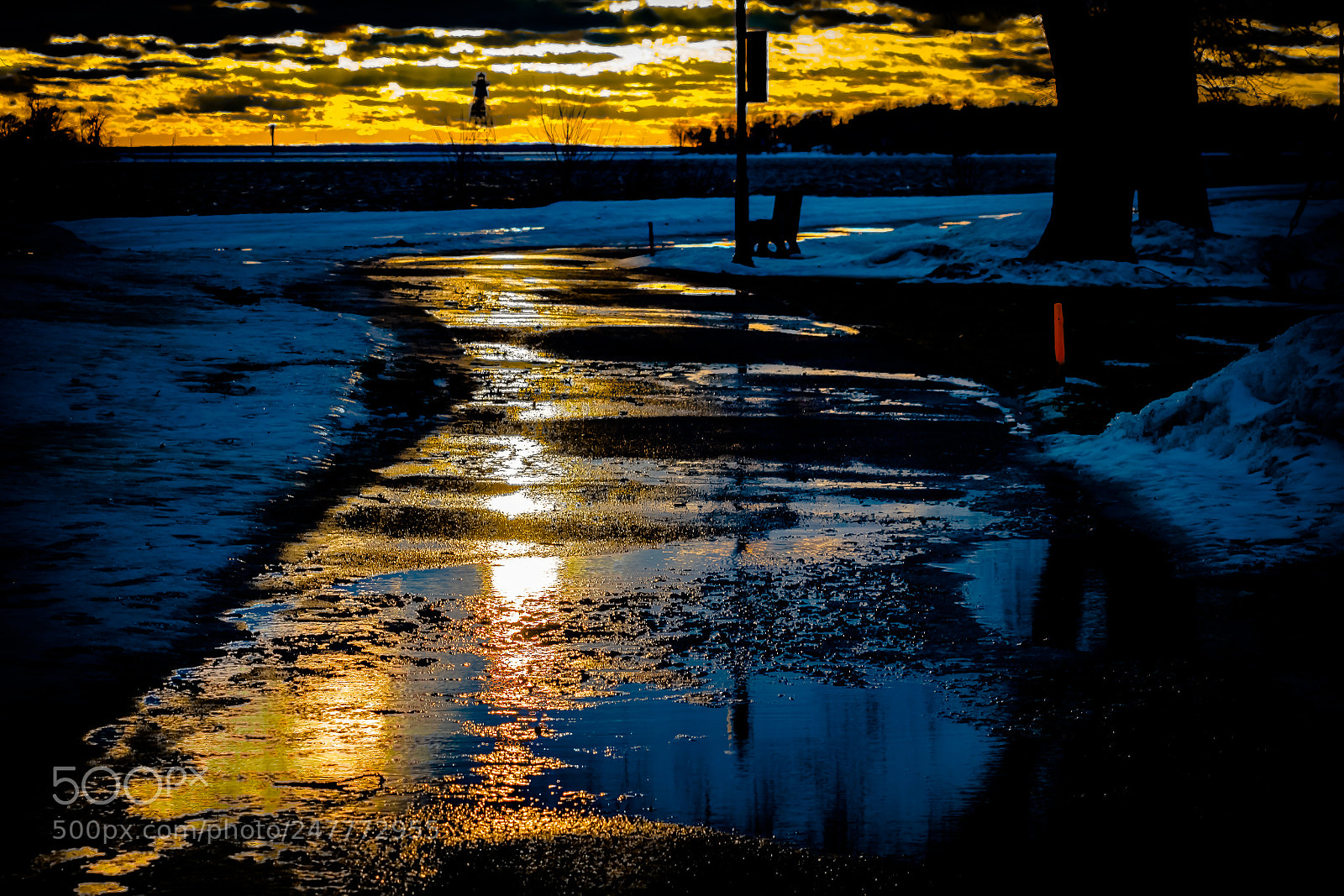 Nikon D3400 sample photo. Gold flex photography