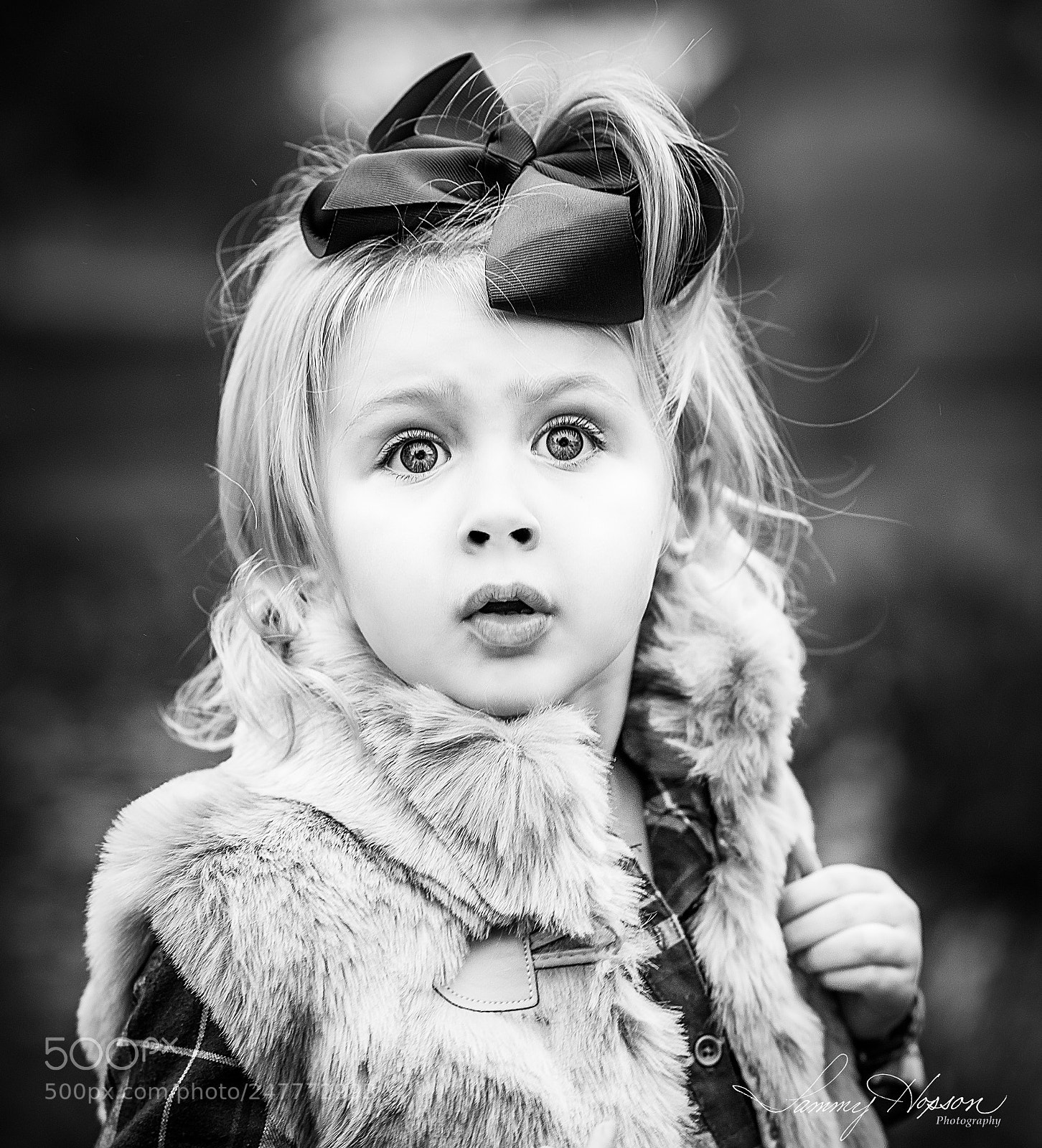 Nikon D800 sample photo. "bright eyes" photography