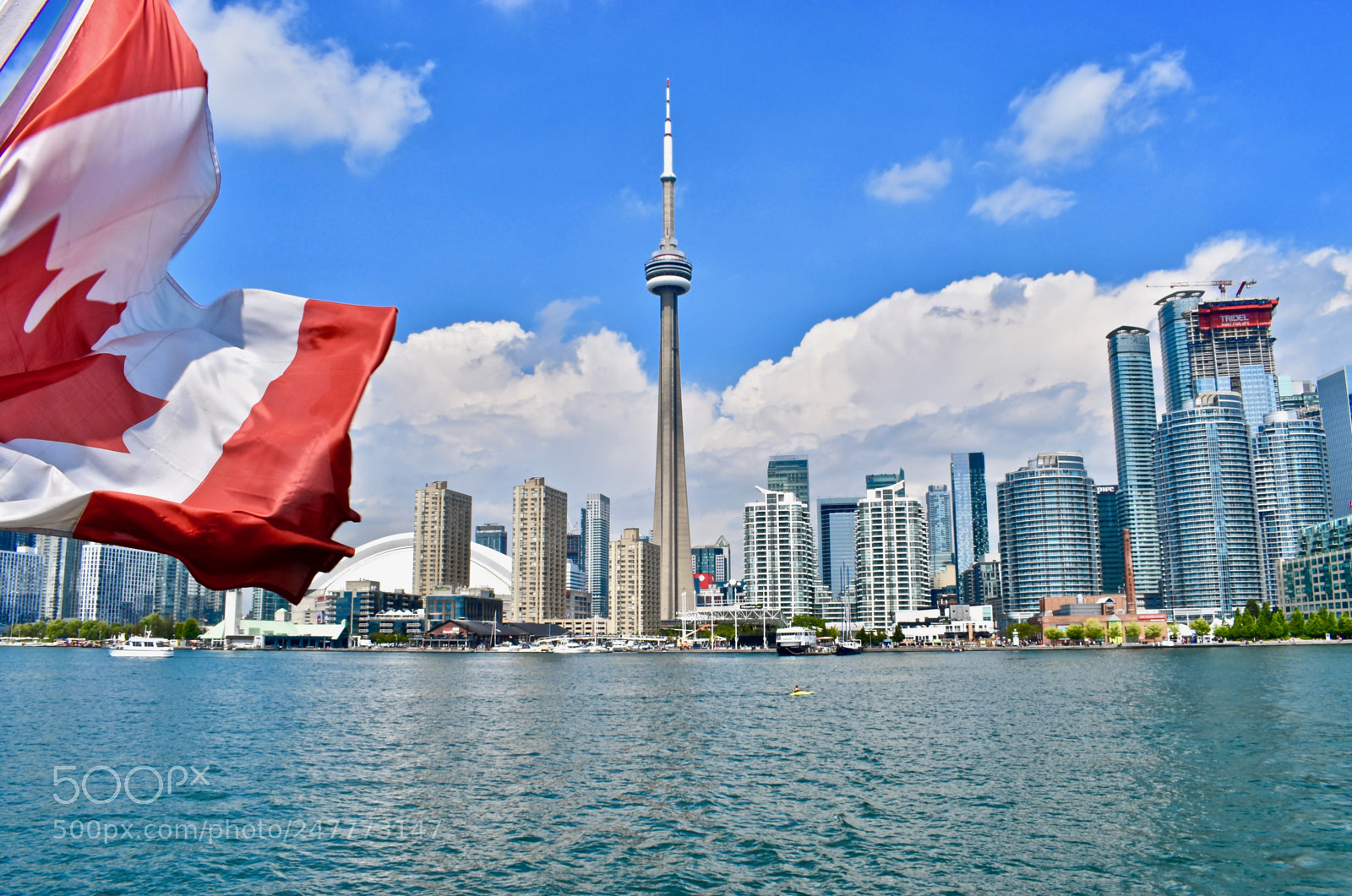 Nikon D5600 sample photo. Toronto skyline photography