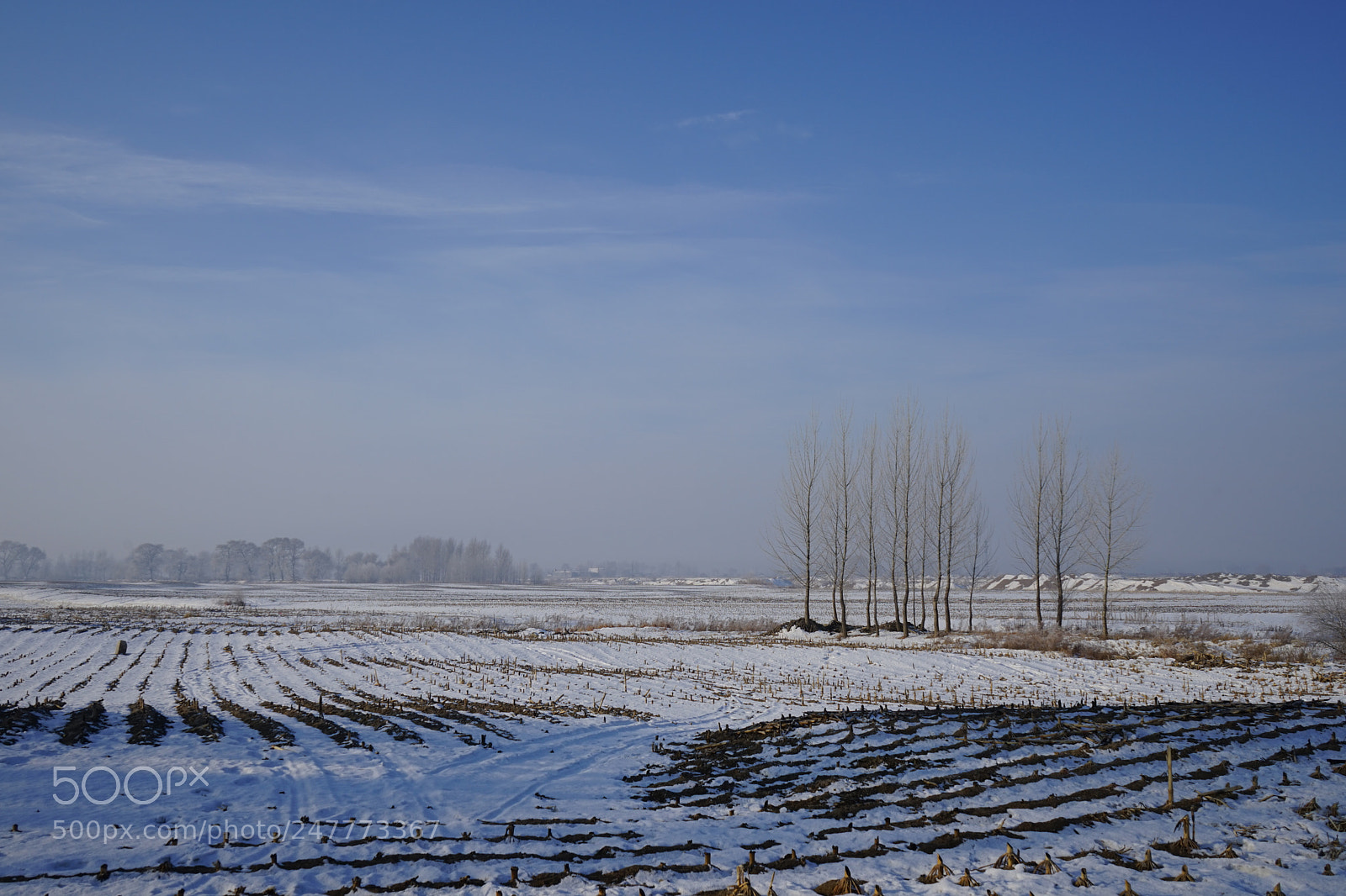 Sony a7 sample photo. Untitled photography